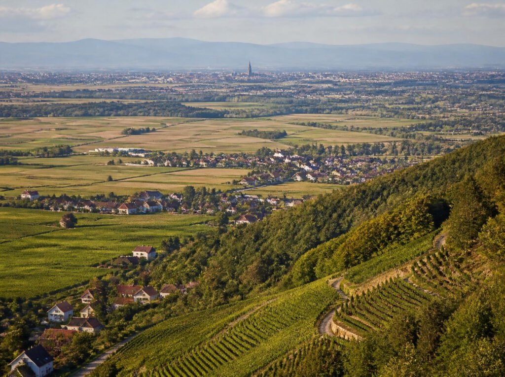 Plaine d'Alsace et vignobles, zone d'intervention de Prost Conciergerie